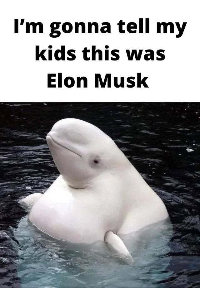 Im gonna tell my kids this was Elon Musk