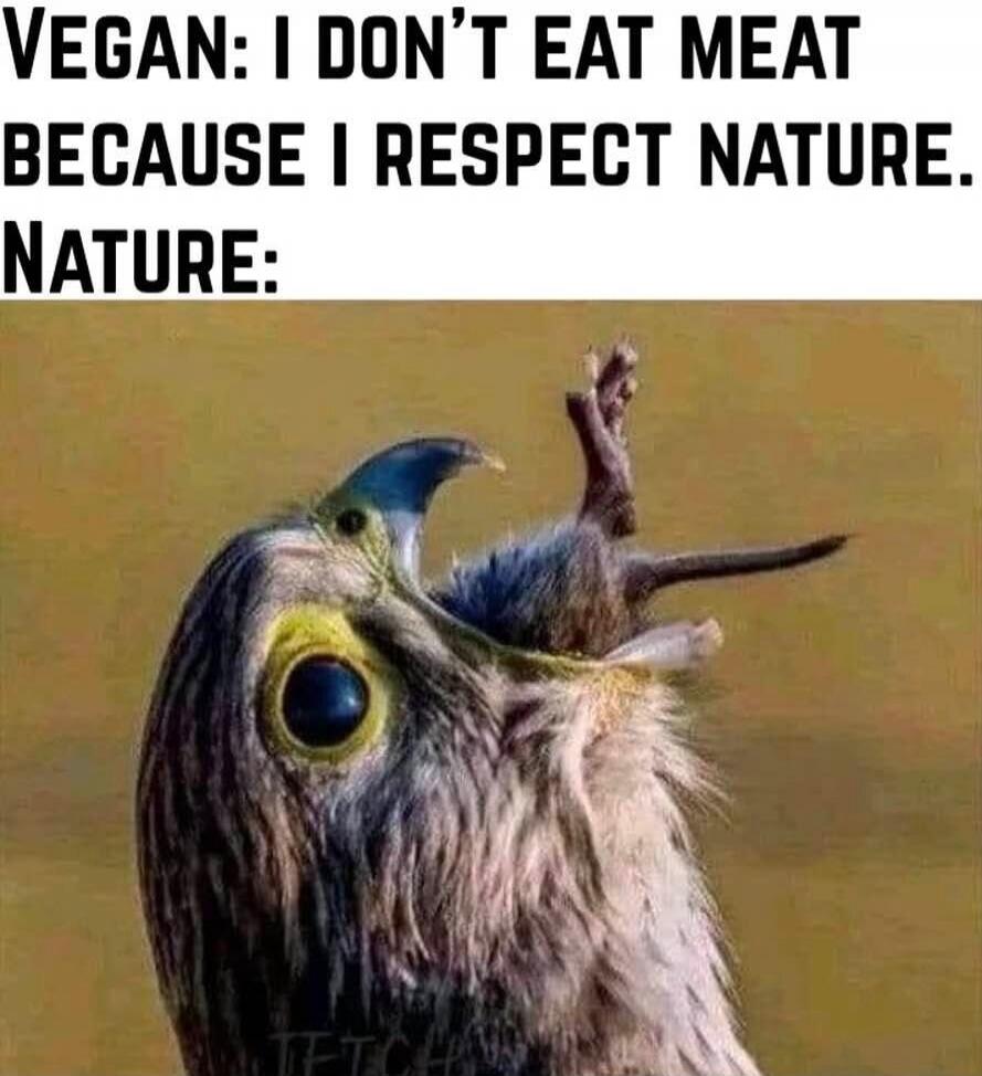 VEGAN: I DON'T EAT MEAT BECAUSE I RESPECT NATURE. NATURE: