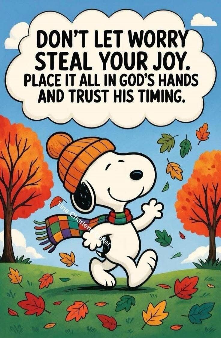 DON'T LET WORRY STEAL YOUR JOY. PLACE IT ALL IN GOD'S HANDS AND TRUST HIS TIMING.