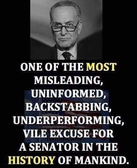 ONE OF THE MOST MISLEADING UNINFORMED BACKSTABBING UNDERPERFORMING VILE EXCUSE FOR A SENATOR IN THE HISTORY OF MANKIND