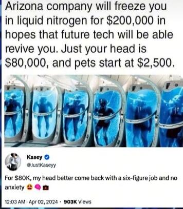 Arizona company will freeze you in liquid nitrogen for 200000 in hopes that future tech will be able revive you Just your head is I 80000 and pets start at 2500 cnsareny F or SBOK my head better come back with a six figure job and no anxiety 1203AM Apr 022024 BOIK Views