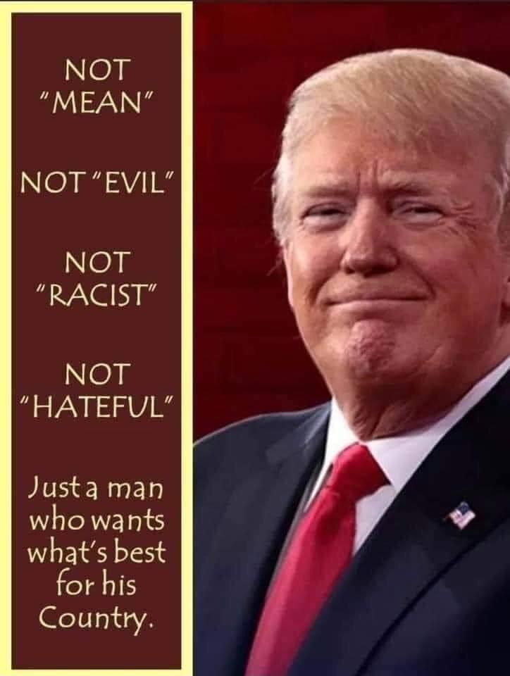 NOT MEAN NO I AV 1 NOT RACIST NOT HATEFUL Justa man who wants whats best for his eli1 8