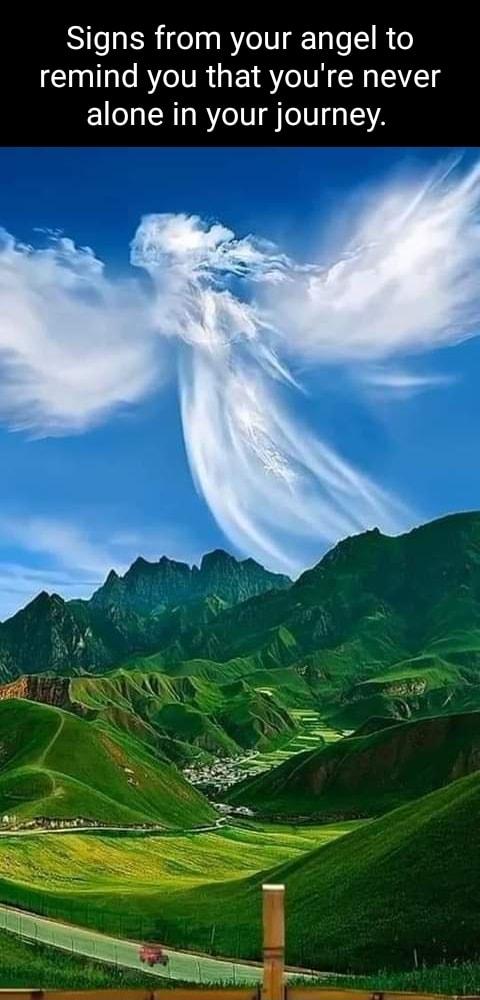 Signs from your angel to remind you that youre never alone in your journey