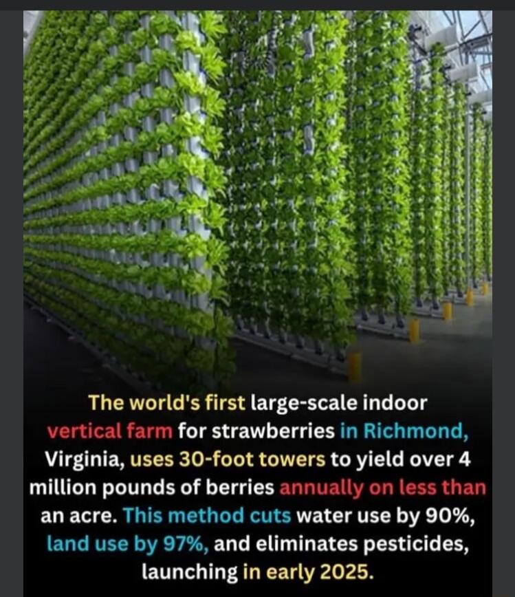 The worlds first large scale indoor Lf for strawberries in Richmond Virginia uses 30 foot towers to yield over 4 million pounds of berries annually on less than an acre This method cuts water use by 90 land use by 97 and eliminates pesticides launching in early 2025