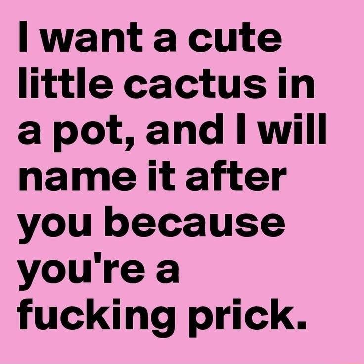 want a cute little cactusin a pot and will name it after you because youre a fucking prick