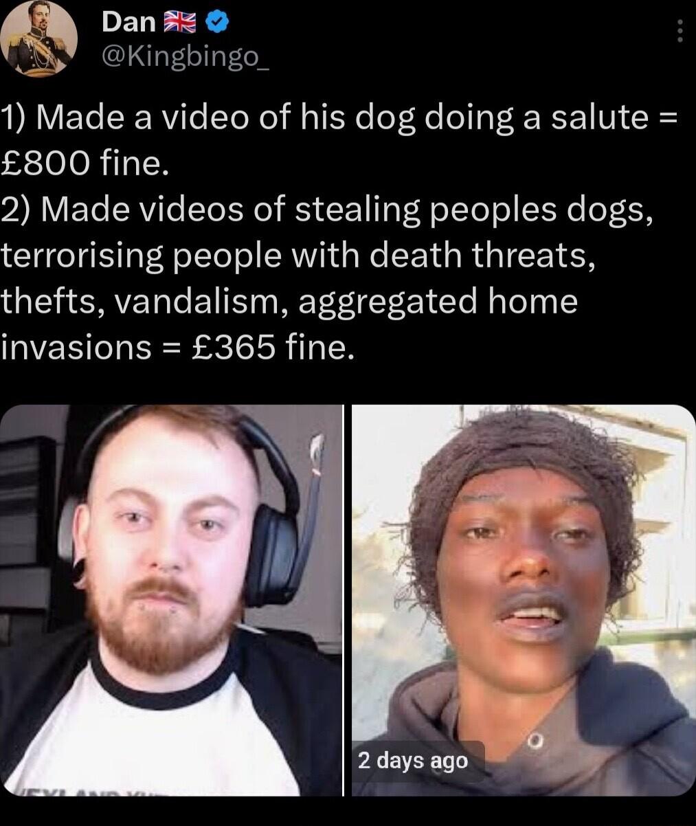 Danz Y Kingbingo 1 Made a video of his dog doing a salute 800 fine 2 Made videos of stealing peoples dogs terrorising people with death threats thefts vandalism aggregated home invasions 365 fine
