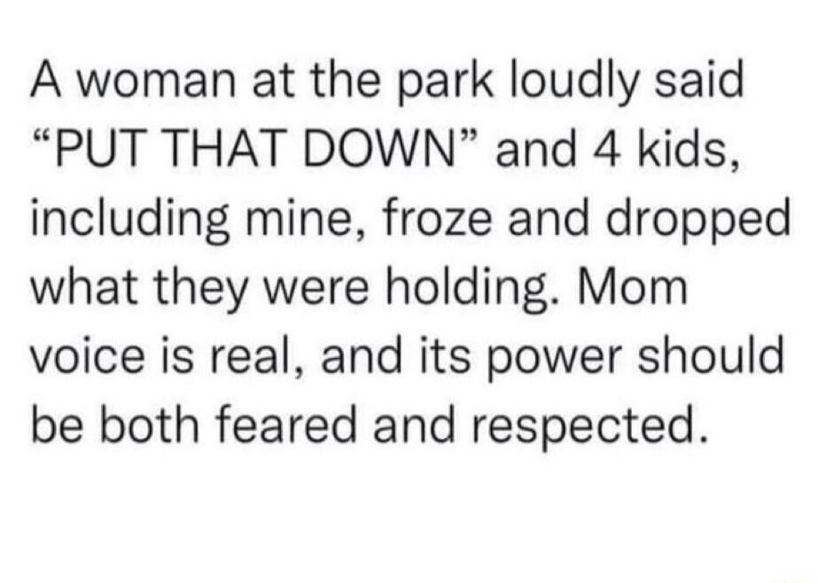 A woman at the park loudly said “PUT THAT DOWN” and 4 kids, including mine, froze and dropped what they were holding. Mom voice is real, and its power should be both feared and respected.