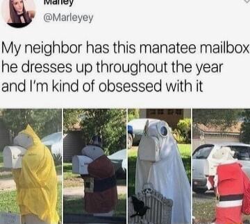 hadieadand 4 Marleyey My neighbor has this manatee mailbox he dresses up throughout the year and Im kind of obsessed with it