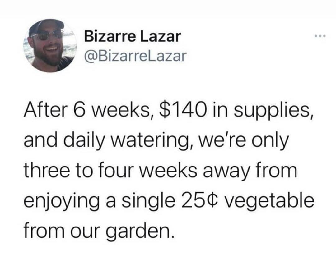 Bizarre Lazar y BizarreLazar After 6 weeks 140 in supplies and daily watering were only three to four weeks away from enjoying a single 25 vegetable from our garden