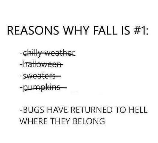 REASONS WHY FALL IS 1 chithweather hattoween swester pUmRpkiRs BUGS HAVE RETURNED TO HELL WHERE THEY BELONG