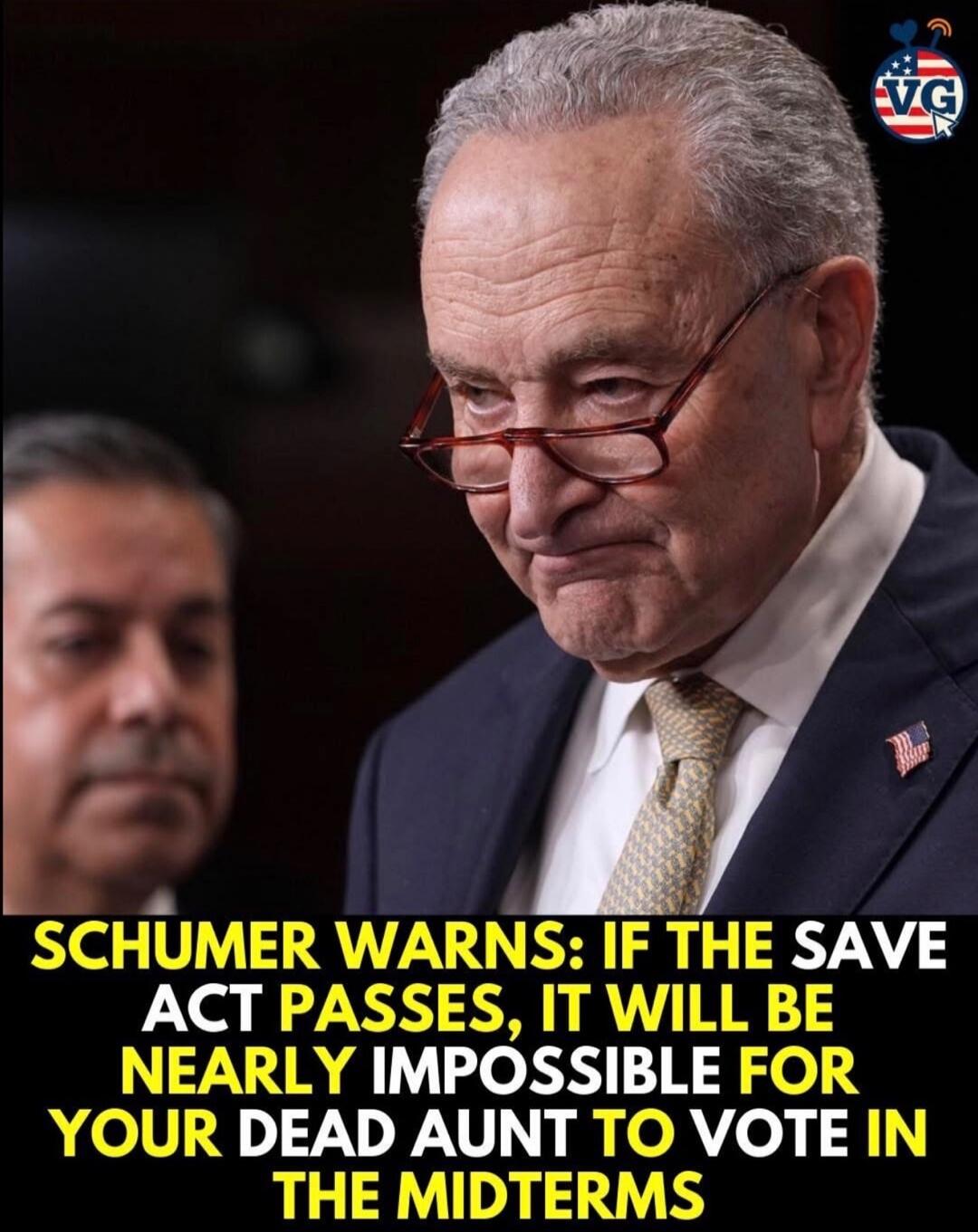 SCHUMER WARNS: IF THE SAVE ACT PASSES, IT WILL BE NEARLY IMPOSSIBLE FOR YOUR DEAD AUNT TO VOTE IN THE MIDTERMS