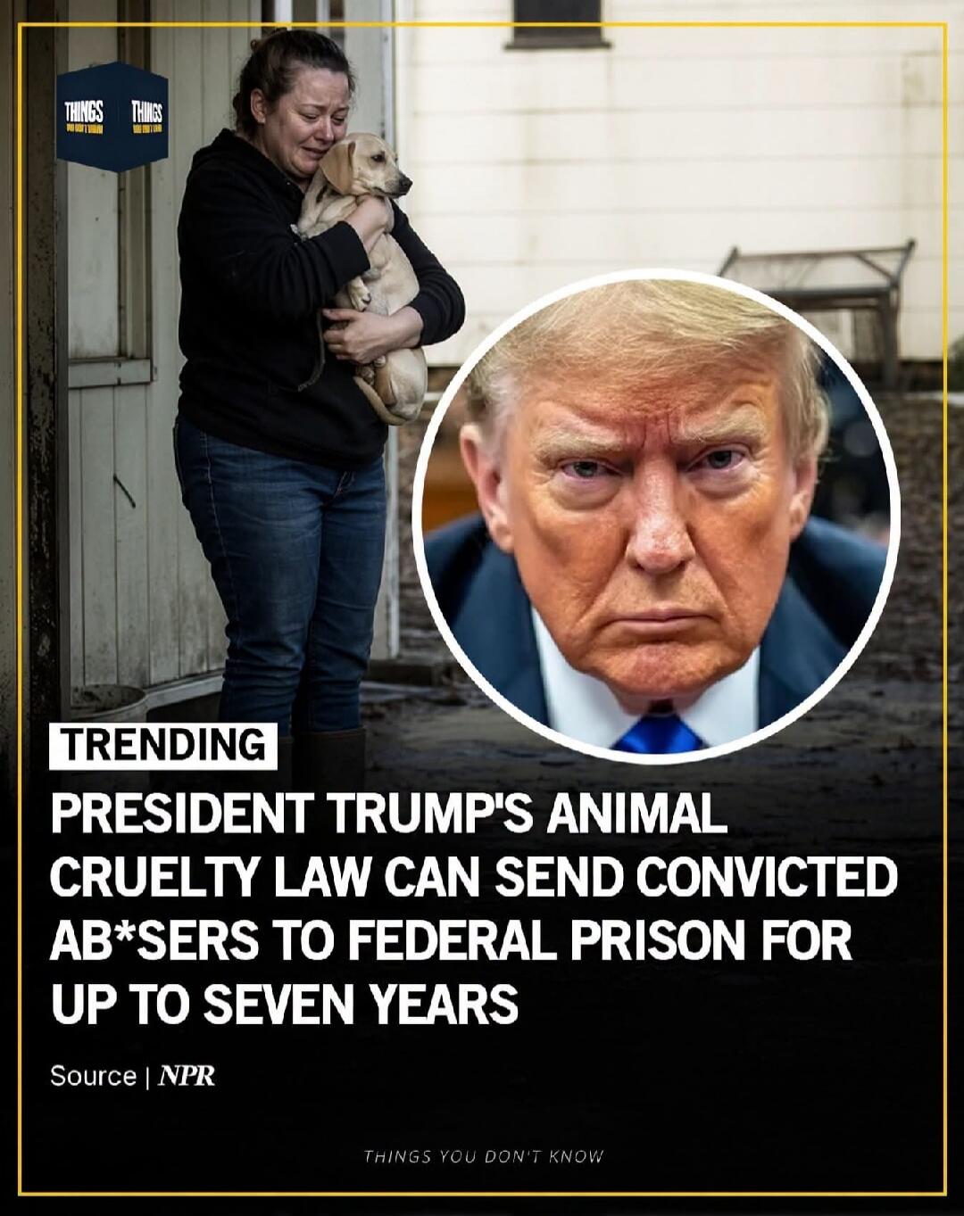 THINGS YOU DON'T KNOW TRENDING PRESIDENT TRUMP'S ANIMAL CRUELTY LAW CAN SEND CONVICTED ABUSERS TO FEDERAL PRISON FOR UP TO SEVEN YEARS Source | NPR THINGS YOU DON'T KNOW