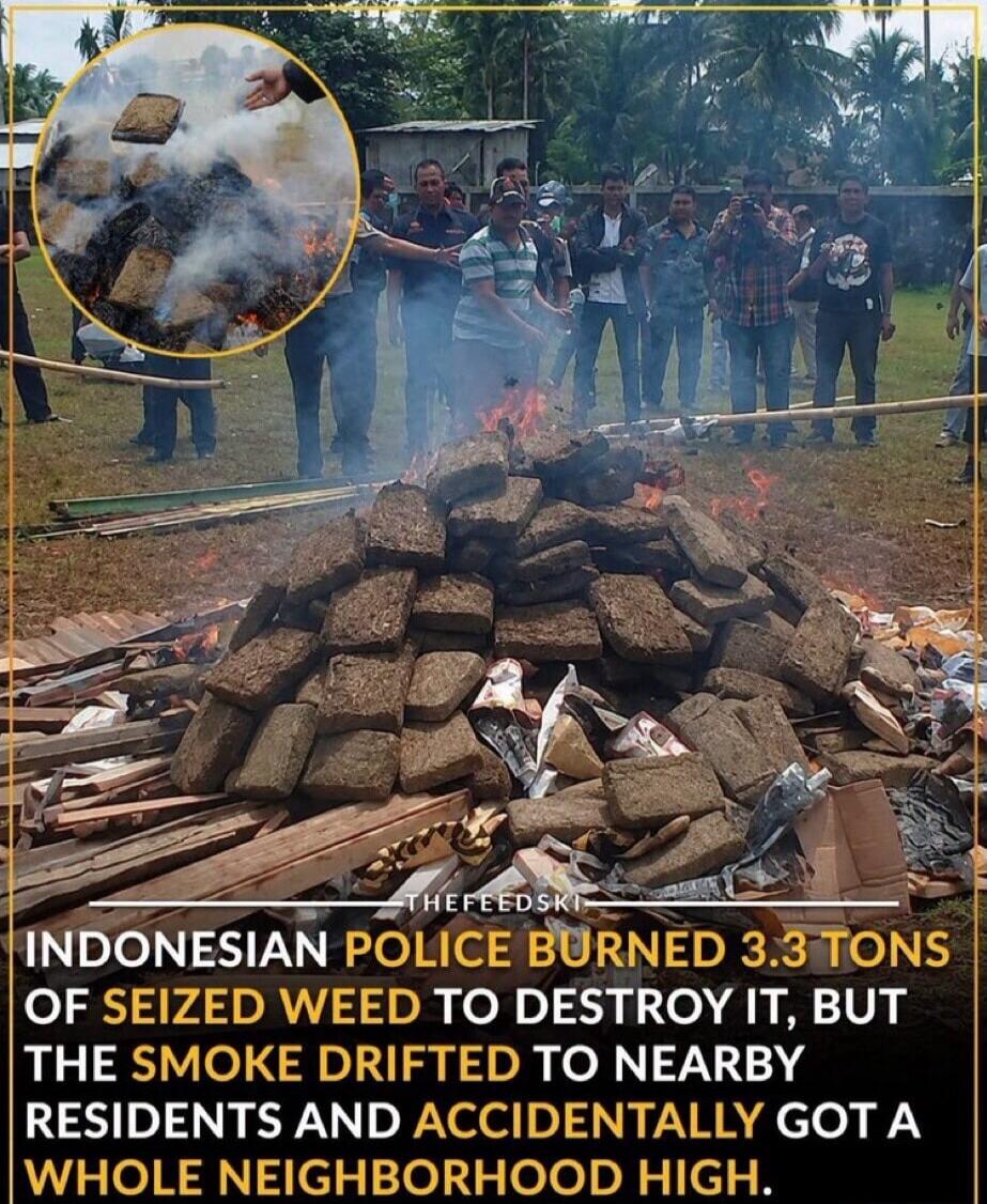 Indonesian police burned 3.3 tons of seized weed to destroy it, but the smoke drifted to nearby residents and accidentally got a whole neighborhood high.