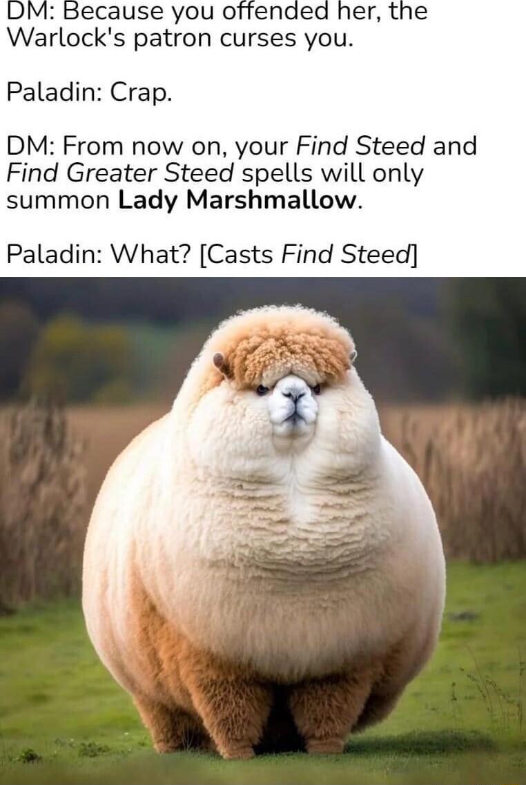 er the Warlocks patron curses you Paladin Crap DM From now on your Find Steed and Find Greater Steed spells will only summon Lady Marshmallow Paladin What Casts Find Steed