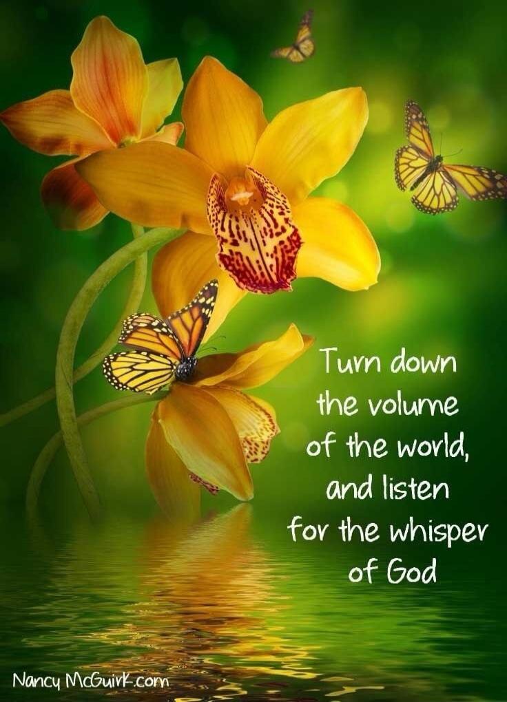 Turn down the volume of the world, and listen for the whisper of God. Nancy McGuirk.com