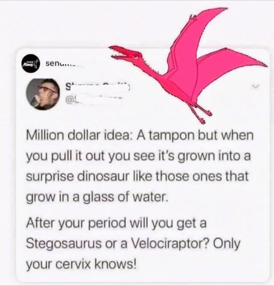 Million dollar idea: A tampon but when you pull it out you see it’s grown into a surprise dinosaur like those ones that grow in a glass of water. After your period will you get a Stegosaurus or a Velociraptor? Only your cervix knows!