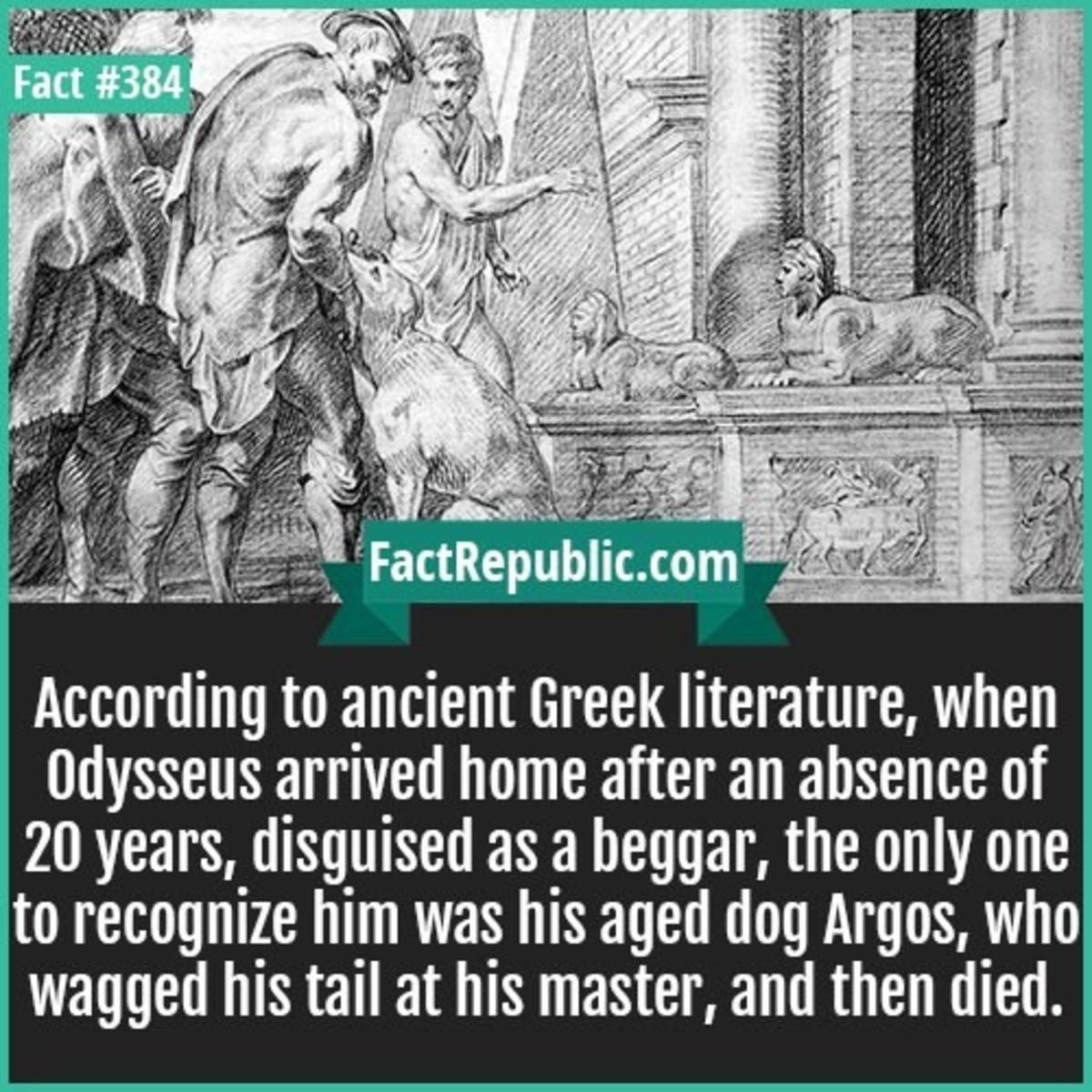 According to ancient Greek literature when 0dysseus arrived home after an absence of 20 years disguised as a beggar the only one to recognize him was his aged dog Argos who wagged his tail at his master and then died