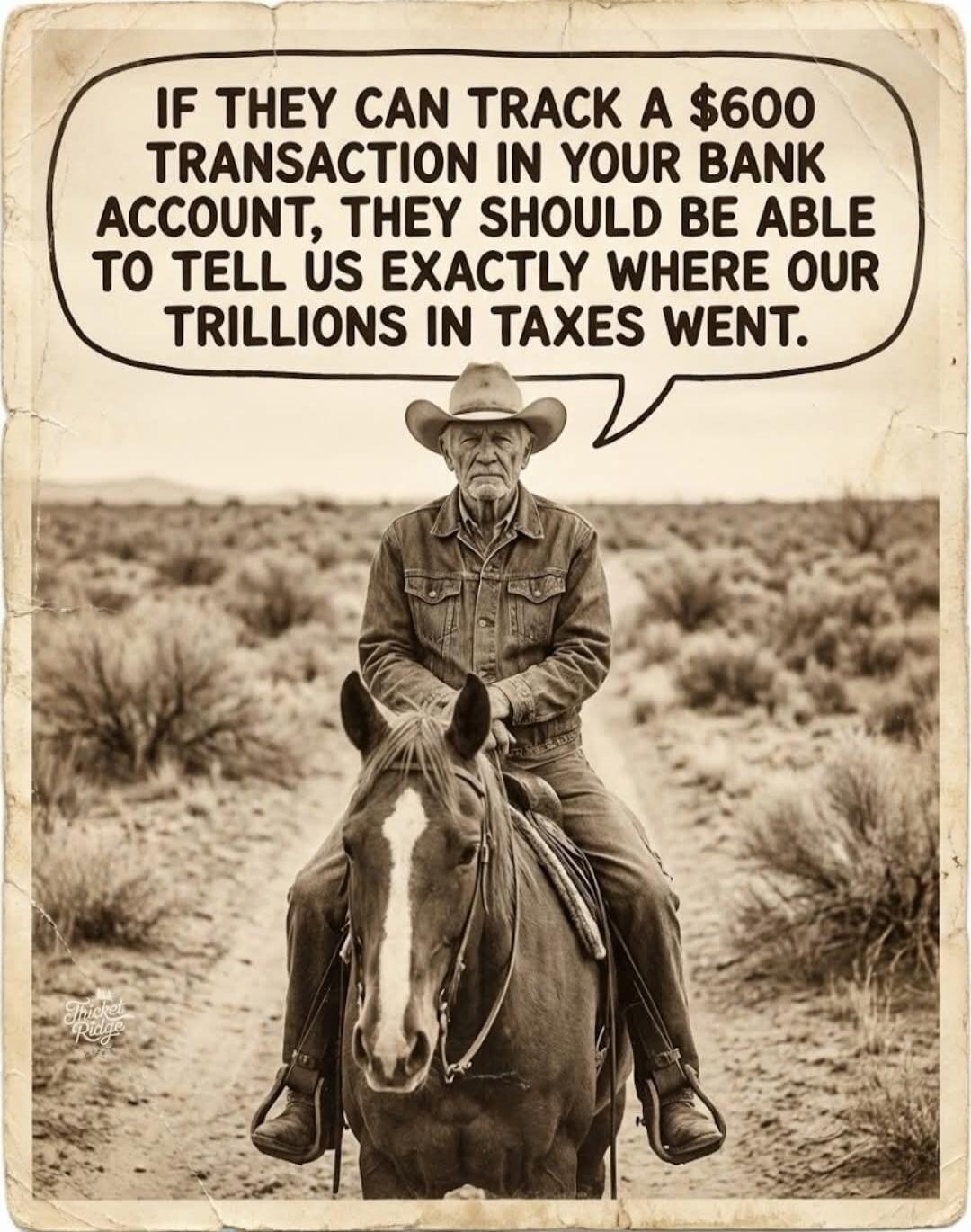IF THEY CAN TRACK A $600 TRANSACTION IN YOUR BANK ACCOUNT, THEY SHOULD BE ABLE TO TELL US EXACTLY WHERE OUR TRILLIONS IN TAXES WENT.