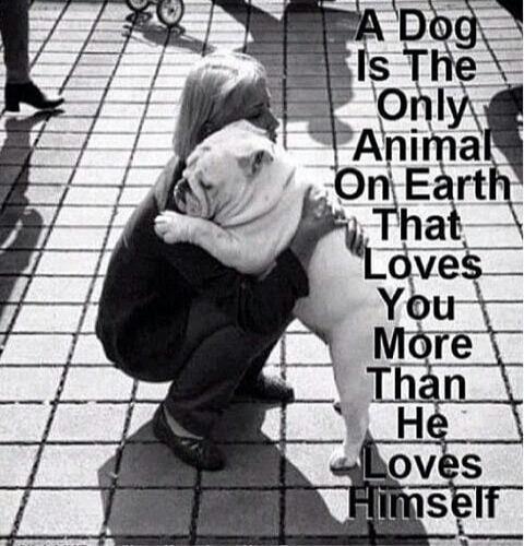 A Dog Is The Only Animal On Earth That Loves You More Than He Loves Himself