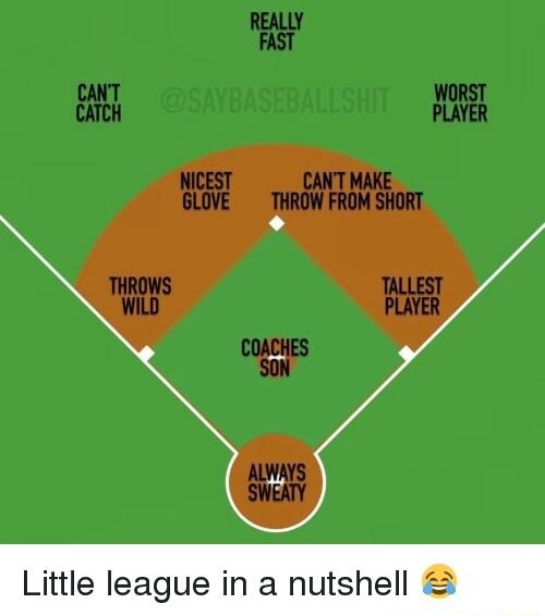 Little league in a nutshell