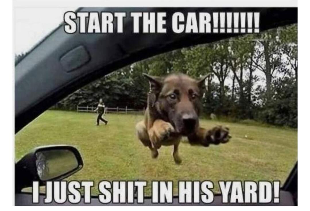 START THE CAR!!!!!!! I JUST SHIT IN HIS YARD!