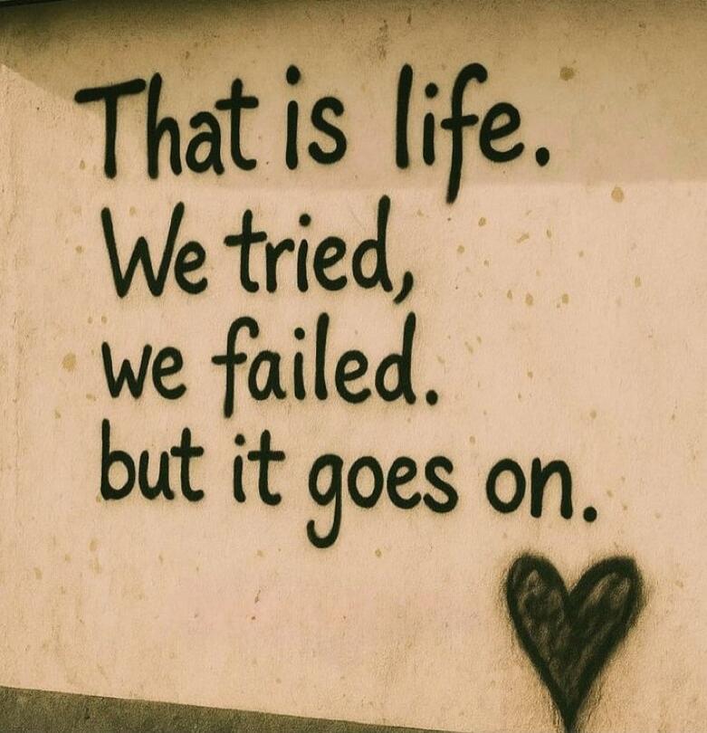 That is life. We tried, we failed, but it goes on.
