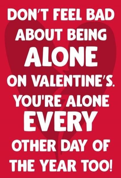 DON'T FEEL BAD ABOUT BEING ALONE ON VALENTINE'S. YOU'RE ALONE EVERY OTHER DAY OF THE YEAR TOO!