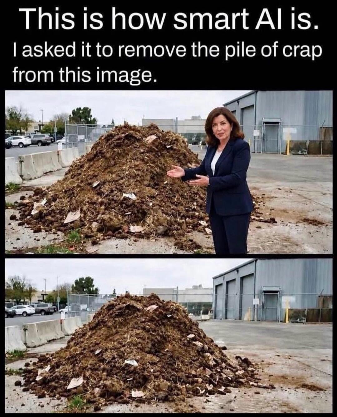 This is how smart AI is. I asked it to remove the pile of crap from this image.