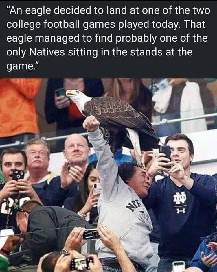 WA WETo SWe ol T STe RTo N E oo 1 Mol g i s R ANe oloTo R o1t Ne ETaa o EVTo R oo AR N o1 2 To SMag ETa kT lo ol flaTo ol o oF 1o AT N e s 5 only Natives sitting in the stands at the game