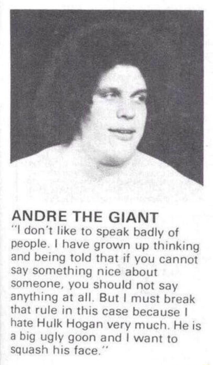 ANDRE THE GIANT I dont like to speak badly of people have grown up thinking and being told that if you cannot say something nice about someone you should not say anything at all But must break that rule in this case because hate Hulk Hogan very much He is a big ugly goon and want to squash his face
