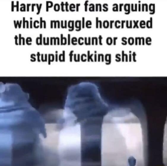 Harry Potter fans arguing which muggle horcruxed the dumblecunt or some stupid fucking shit