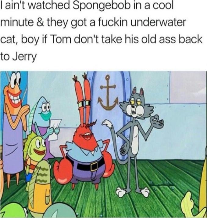 aint watched Spongebob In a cool minute they got a fuckin underwater cat boy if Tom dont take his old ass back to Jerry