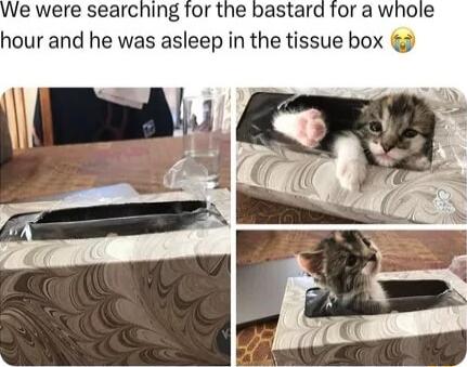 hour and he was asleep in the tissue box