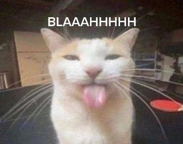 BLAAAHHHHH