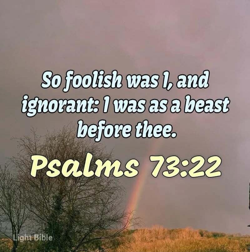 So foolish was I, and ignorant: I was as a beast before thee. Psalms 73:22. Light Bible.