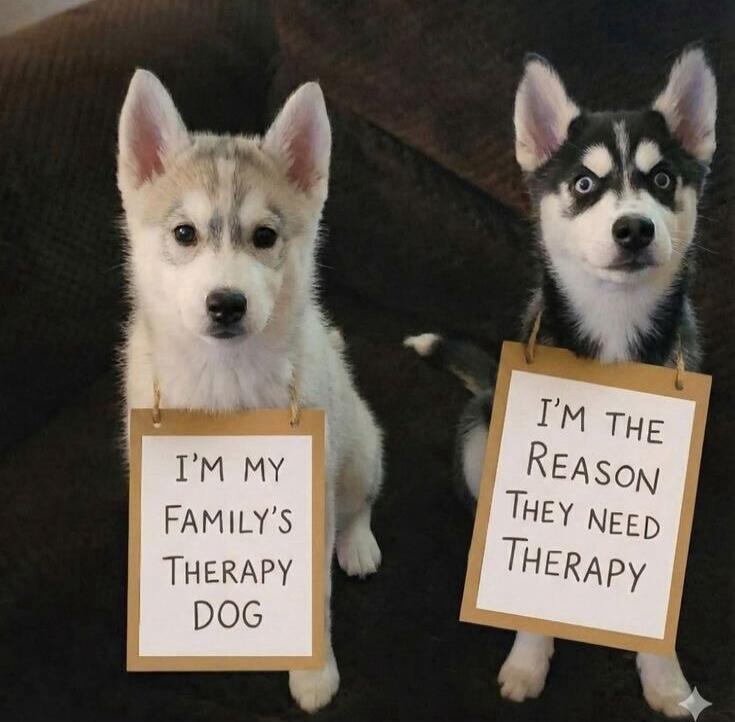 I'M MY FAMILY'S THERAPY DOG
I'M THE REASON THEY NEED THERAPY