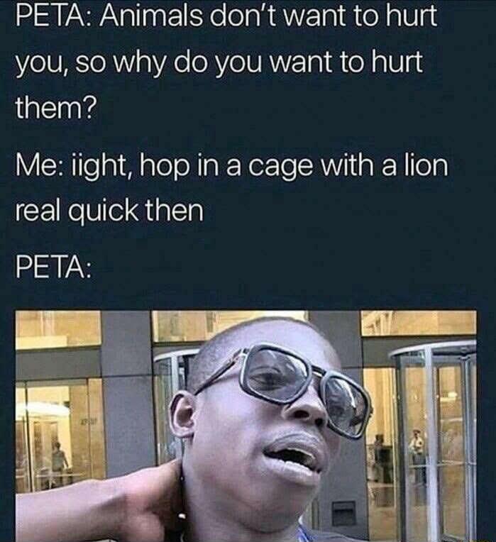 PETA Animals dont want to hurt Ve TURToRNa Ve oRVoTUAYYET o1 o a1T4d them Me iight hop in a cage with a lion real quick then REA
