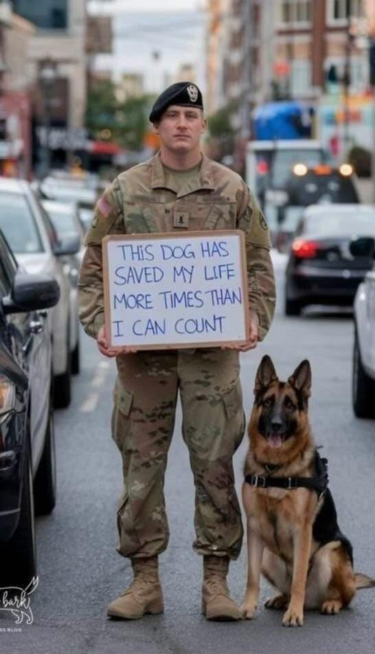 THIS DOG HAS SAVED MY LIFE MORE TIMES THAN I CAN COUNT