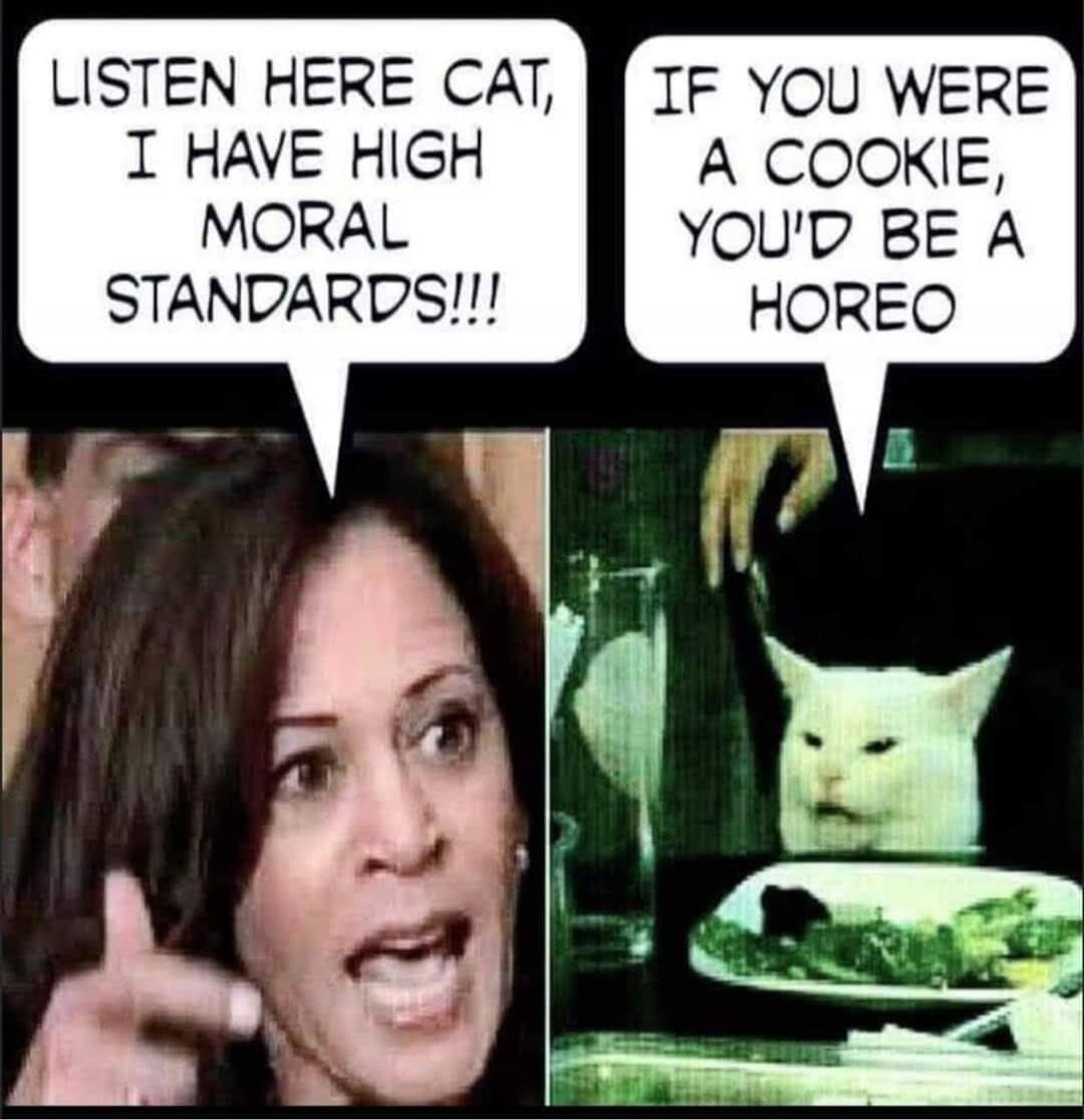 LISTEN HERE CAT, I HAVE HIGH MORAL STANDARDS!!! IF YOU WERE A COOKIE, YOU'D BE A HOREO