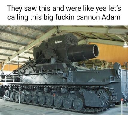 They saw this and were like yea lets calling this big fuckin cannon Adam