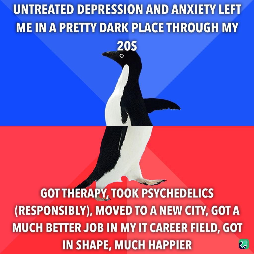 UNTREATED DEPRESSION AND ANXIETY LEFT ME IN A PRETTY DARK PLACE THROUGH MY 205 GOTTHERAPY TOOK PSYCHEDELICS GEIN EINGRT 0308 T3 Ky Al 2 MUCH BETTER JOB IN MY IT CAREER FIELD GOT IN SHAPE MUCH HAPPIER a