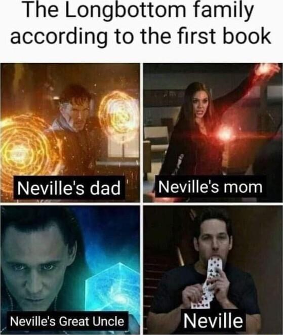 The Longbottom family according to the first book TR S sl Nevilles dad 3 NEVIEE el Nevilles Great Un