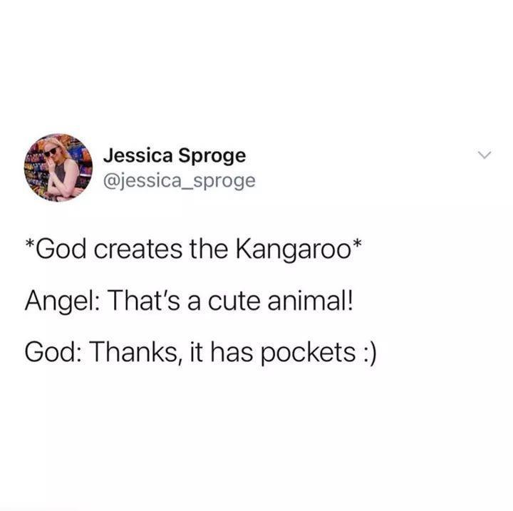 Jessica Sproge jessica_sproge God creates the Kangaroo Angel Thats a cute animal God Thanks it has pockets