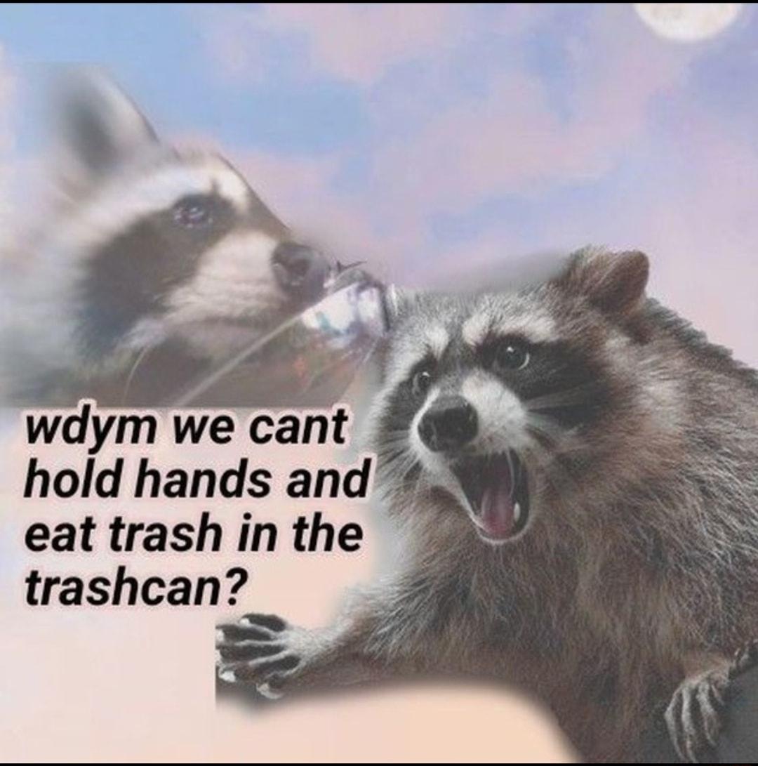 wdym we cant hold hands and eat trash inthe trashcan