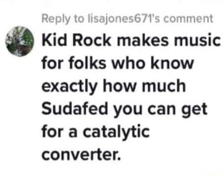 Reply to lisajones671s comment Kid Rock makes music for folks who know exactly how much Sudafed you can get for a catalytic converter
