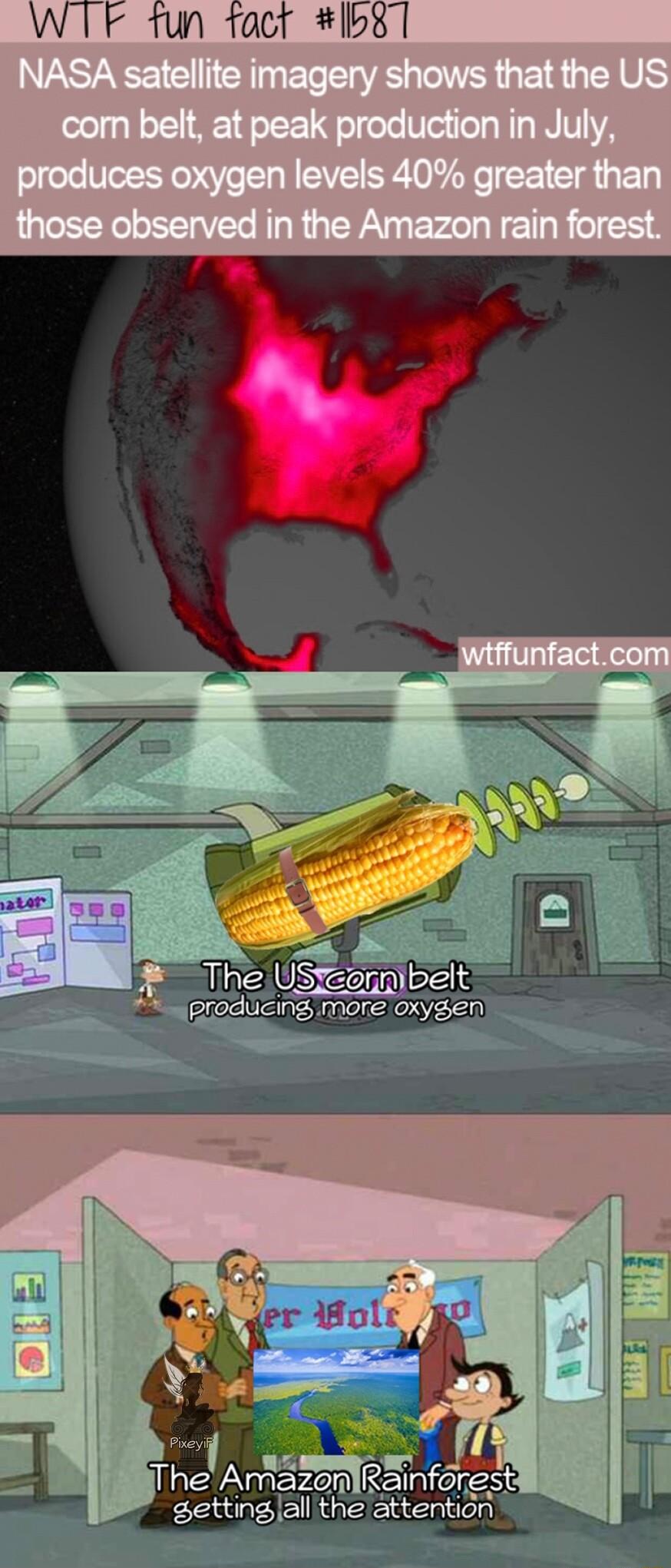 WTF 1un tact bgl ST bmibelt The USteannibelt W8 prodiicing more oxygen