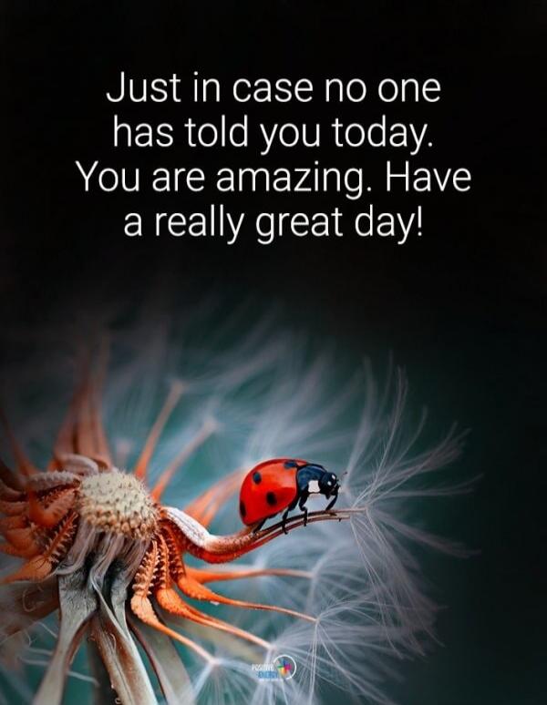 Just in case no one has told you today. You are amazing. Have a really great day!