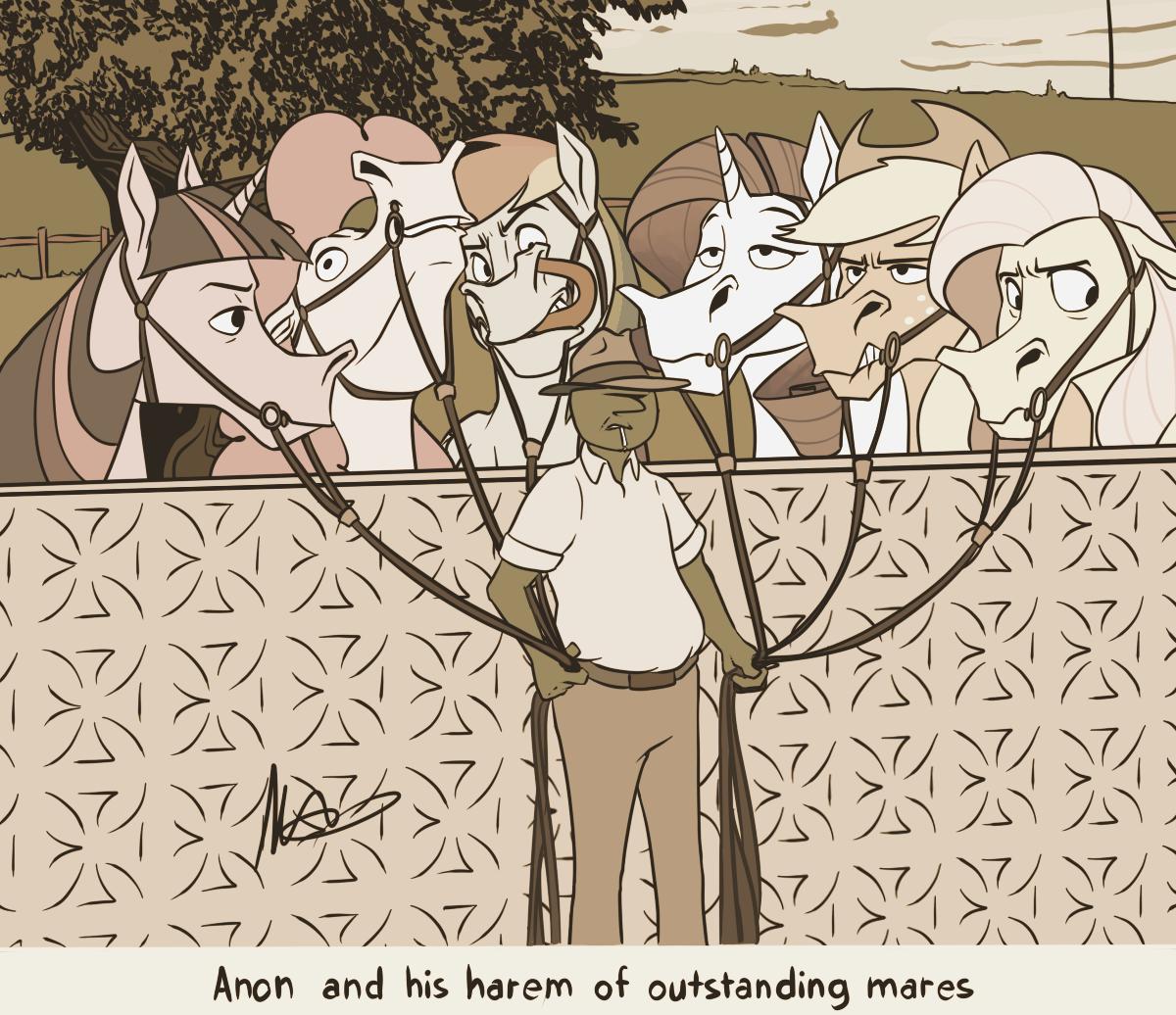 Anon and his harem of outstanding mares