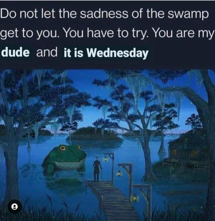 Do not let the sadness of the swamp get to you You have to try You are my dude and it is Wednesday