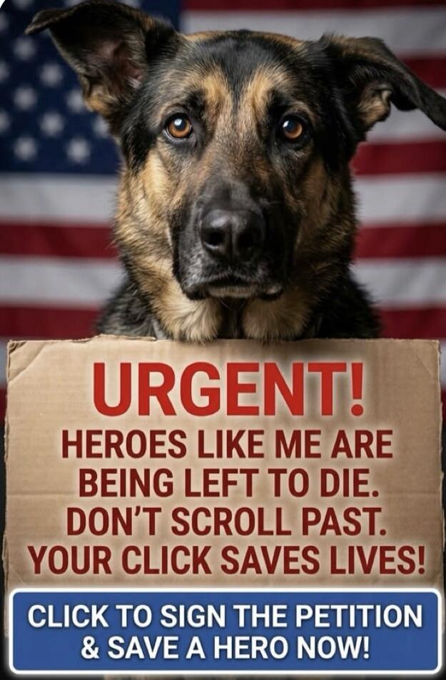 URGENT! HEROES LIKE ME ARE BEING LEFT TO DIE. DON'T SCROLL PAST. YOUR CLICK SAVES LIVES! CLICK TO SIGN THE PETITION & SAVE A HERO NOW!